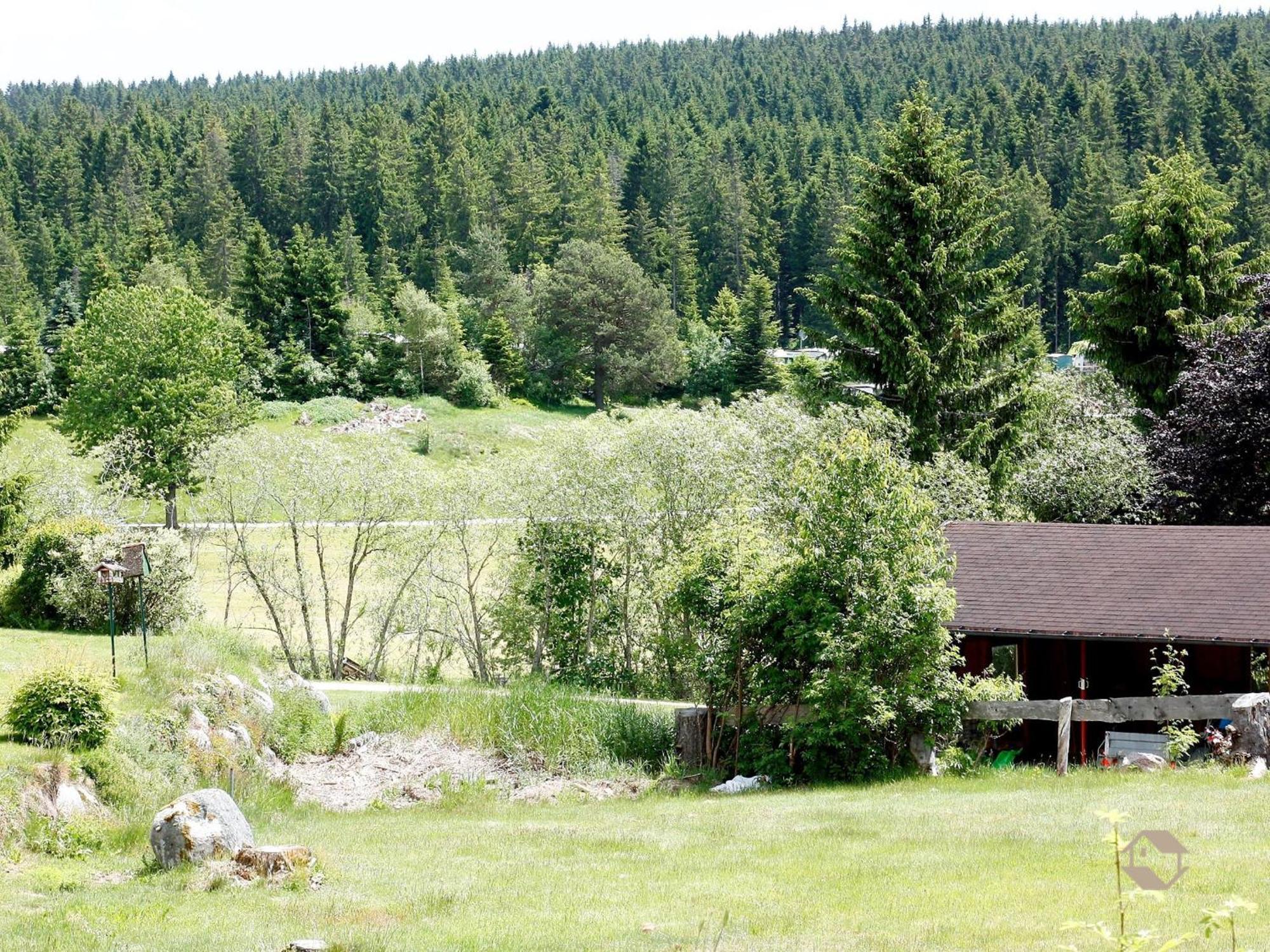 Haus Doerflinger Frau Marianne Διαμέρισμα Schluchsee Εξωτερικό φωτογραφία
