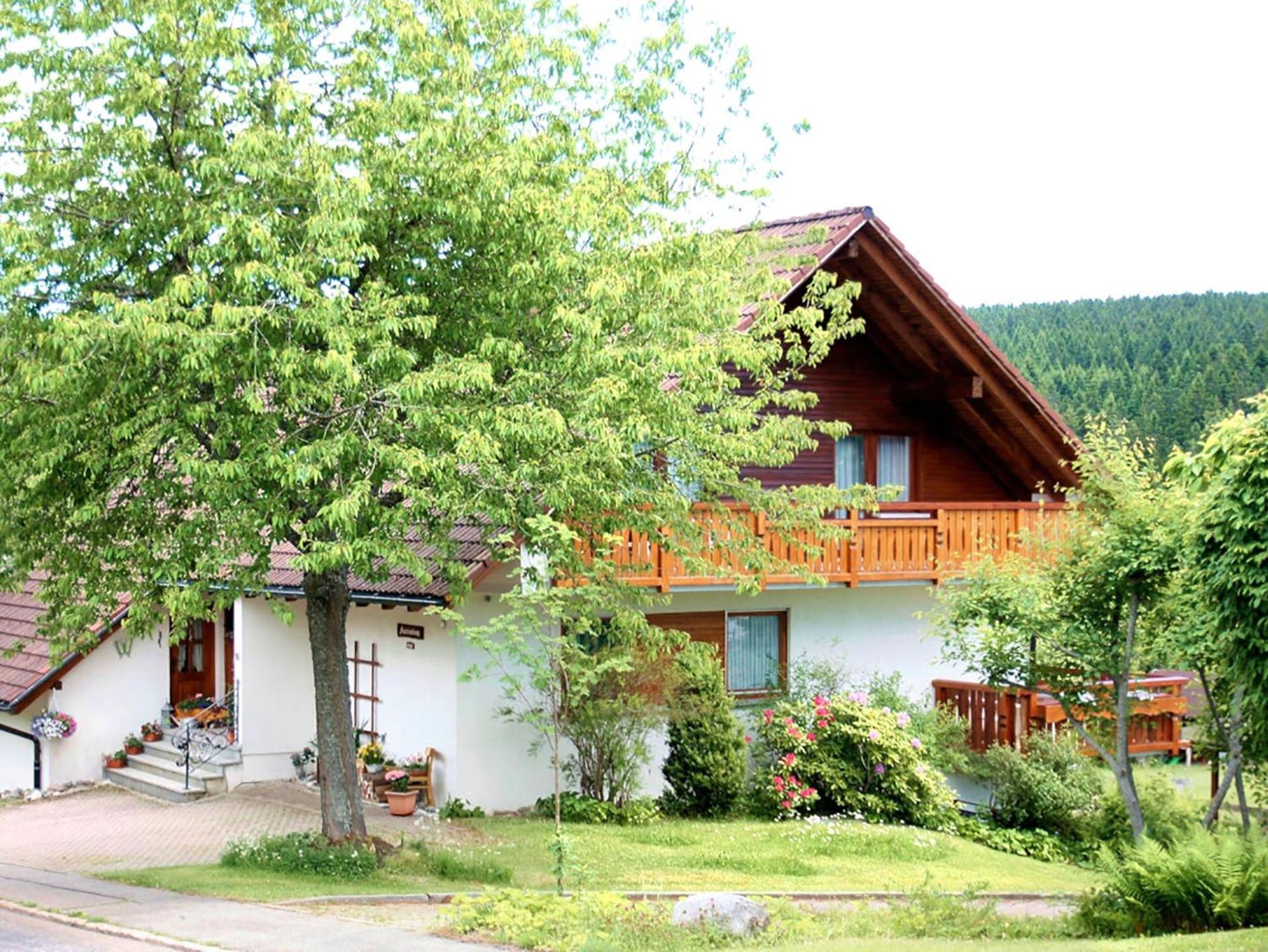 Haus Doerflinger Frau Marianne Διαμέρισμα Schluchsee Εξωτερικό φωτογραφία